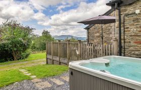 Photo of buzzards-view