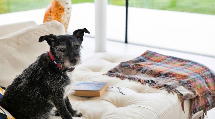 Photo of Cefn Castell