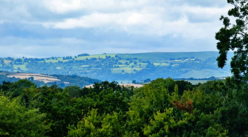 Photo of Coach House Wellbeing Retreat