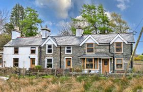 Photo of maes-neuadd