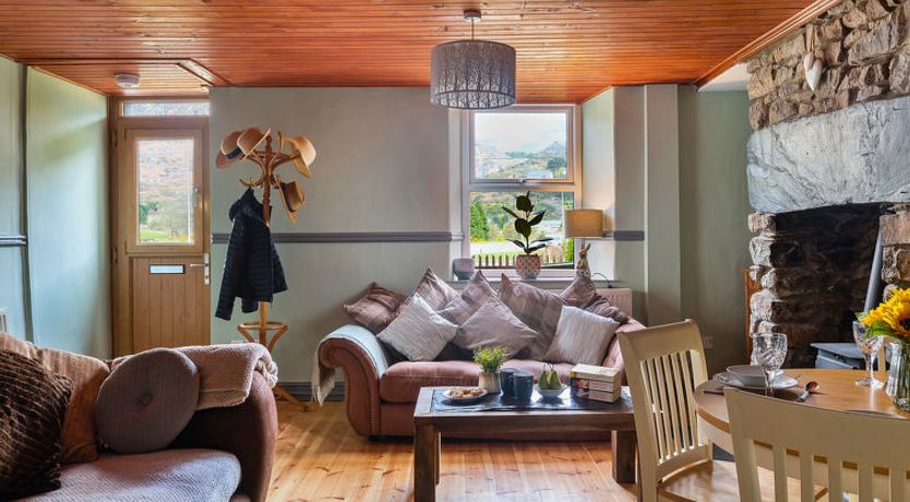 Photo of Maes Neuadd