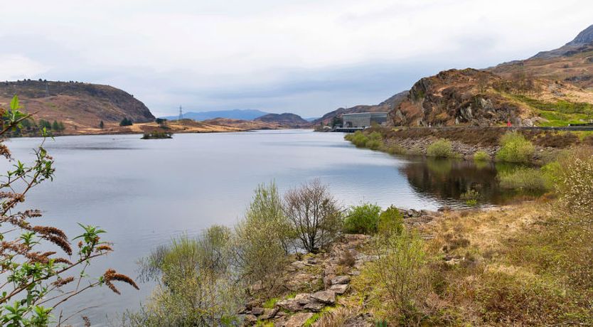 Photo of Maes Neuadd