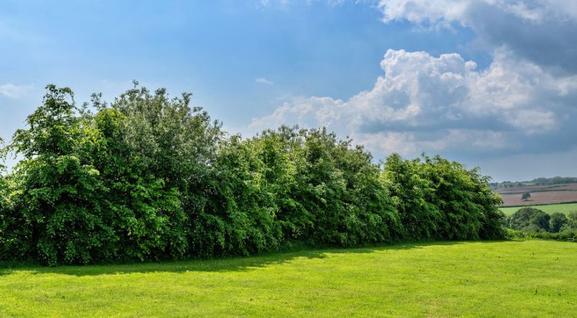 Photo of The Shippon at Lestitha