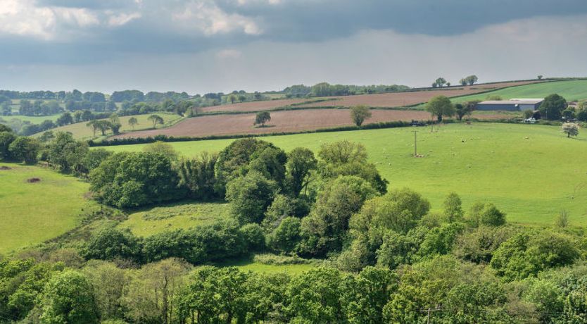 Photo of The Shippon at Lestitha