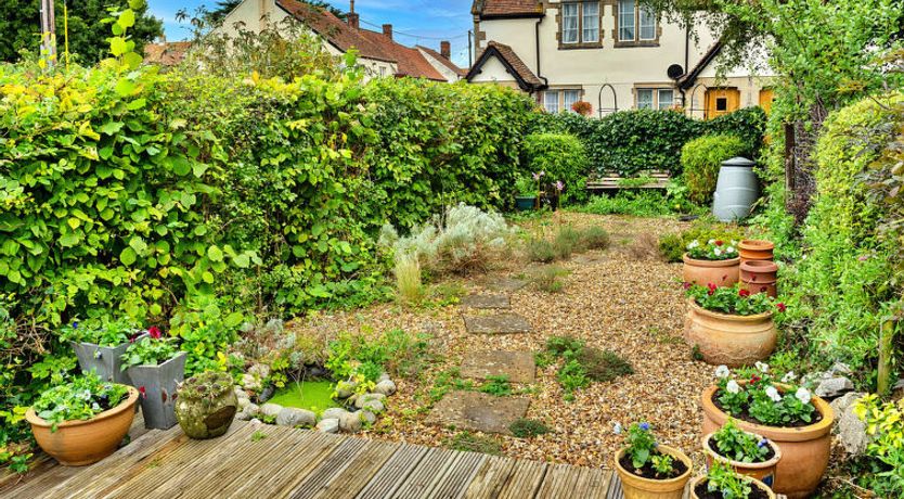 Photo of Clematis Cottage