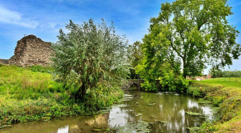 Photo of Clematis Cottage