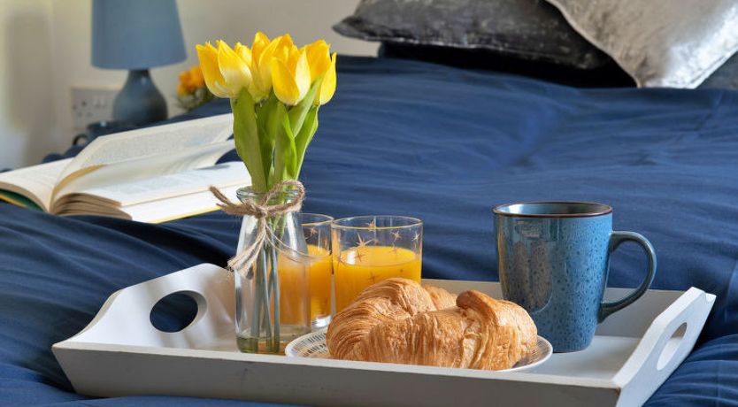 Photo of Eryri Magic