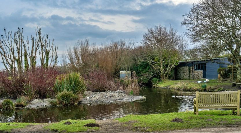 Photo of No.1 Gladys' Orchard