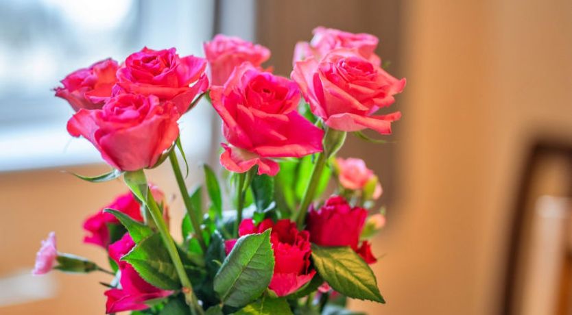 Photo of No.1 Gladys' Orchard