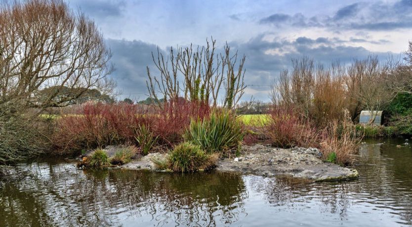 Photo of No.1 Gladys' Orchard