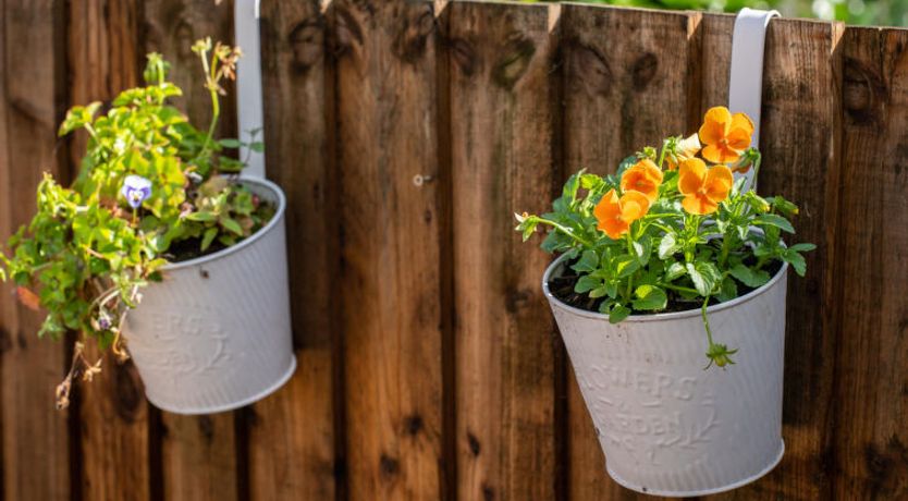Photo of The Annexe at Rosebud Cottage