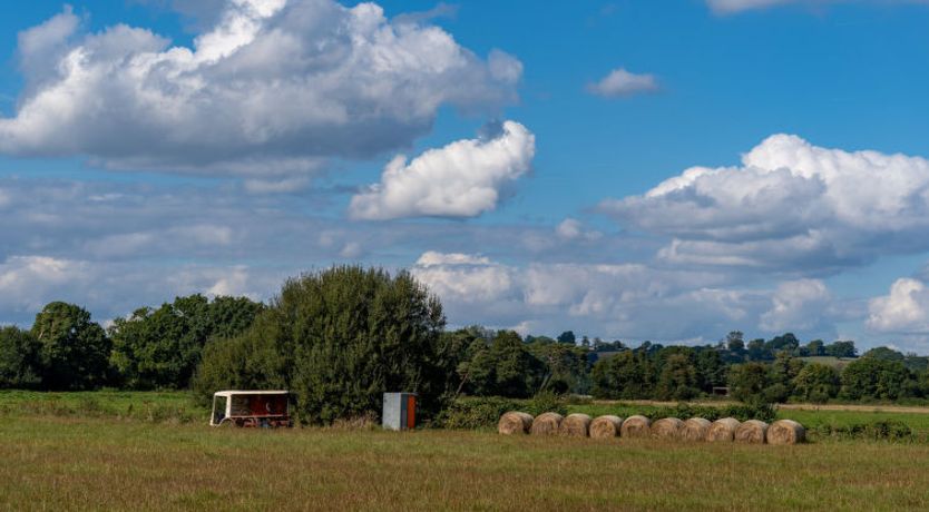 Photo of The Annexe at Rosebud Cottage