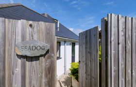 Photo of seadog