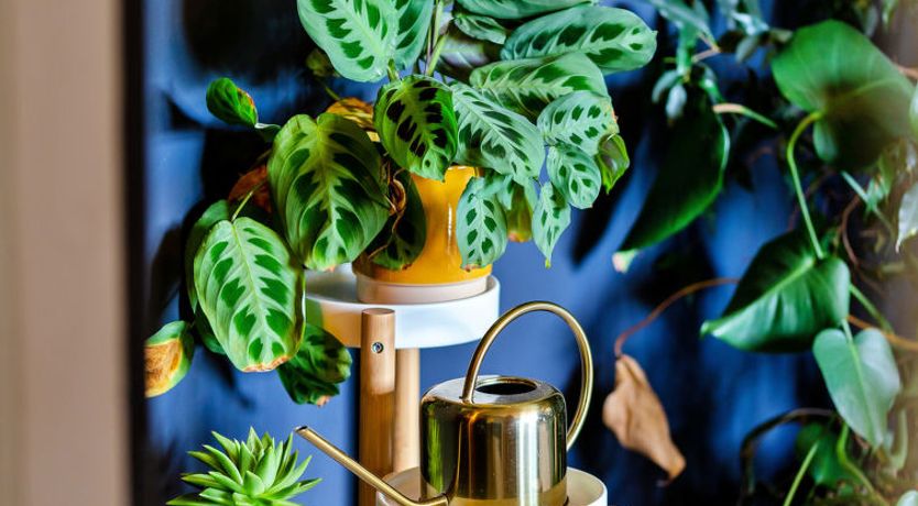 Photo of Cresswell House