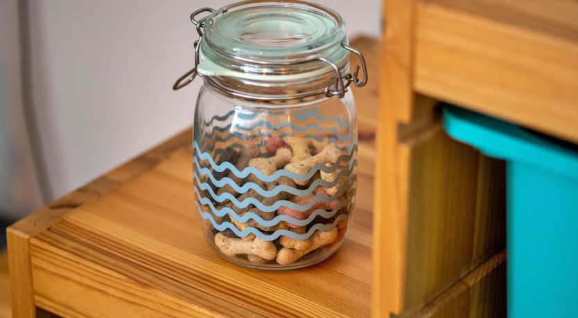 Photo of Cresswell House