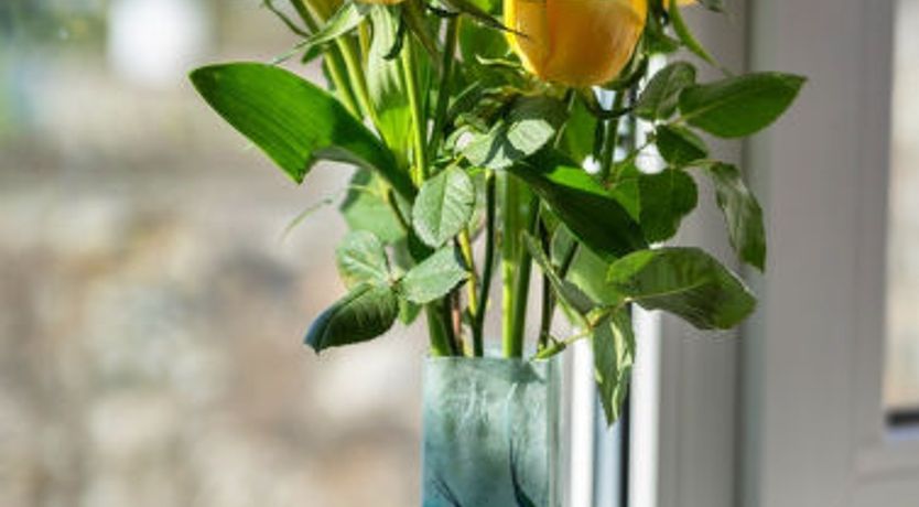 Photo of Chy Merthen