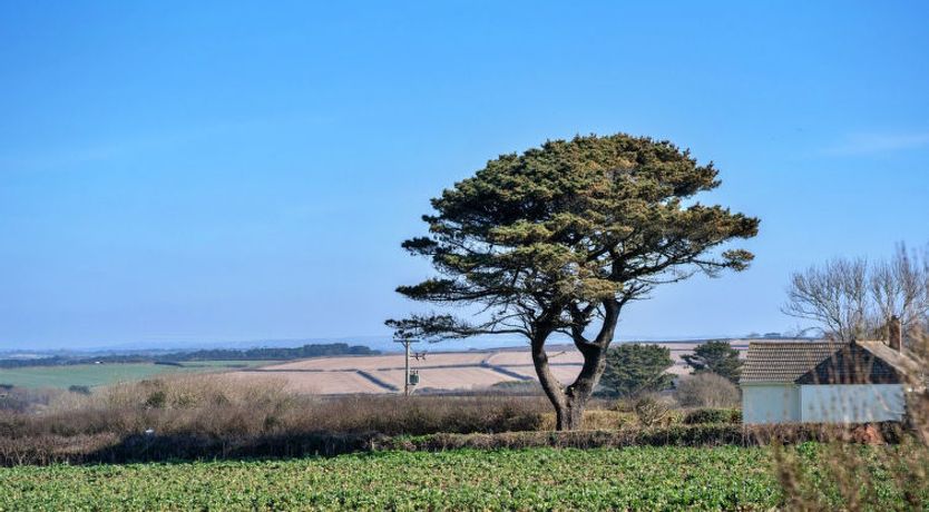 Photo of Chy Merthen