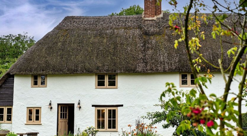Photo of The Thatch at Winterborne Houghton