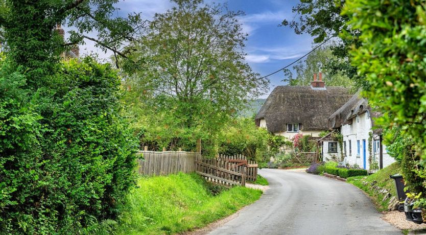 Photo of The Thatch at Winterborne Houghton