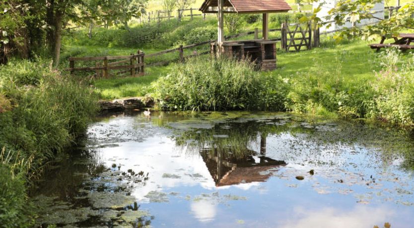 Photo of Cherry at Buckland Court