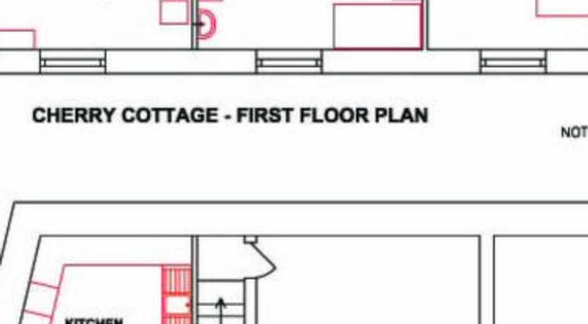 Photo of Cherry at Buckland Court