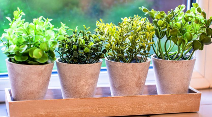 Photo of Southern Lea