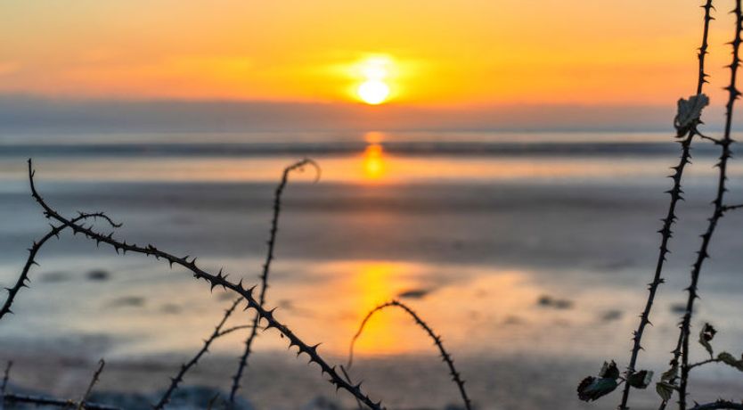 Photo of Southern Lea