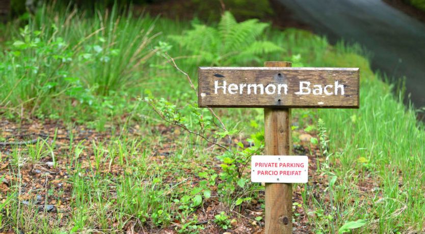 Photo of Hermon Bach