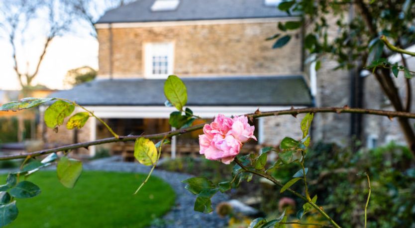Photo of ARC Padstow
