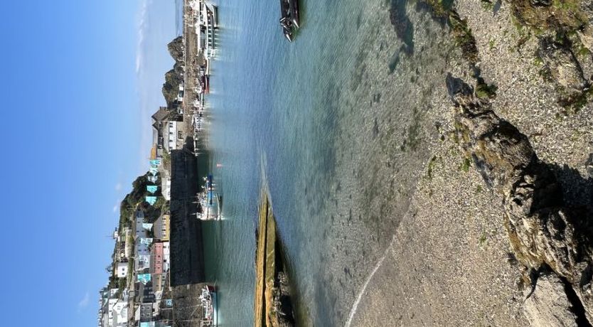 Photo of Old Harbour Cottage