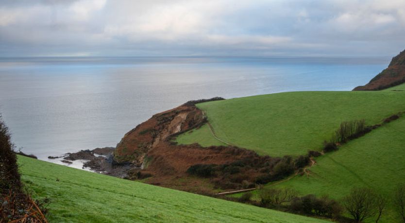 Photo of Old Harbour Cottage