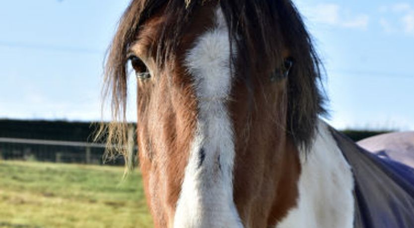 Photo of Cheese Room Cottage