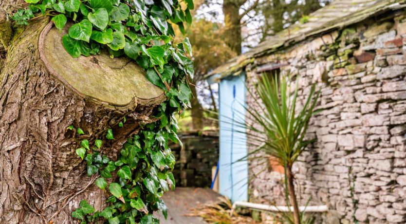 Photo of Fisherman's Cottage