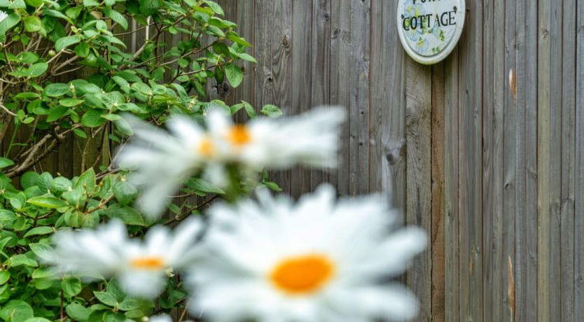 Photo of Porth Cottage