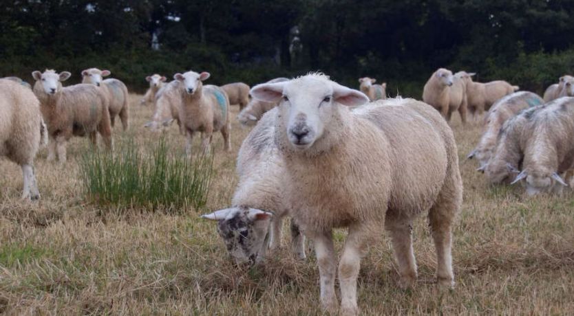 Photo of Chasty House Barn