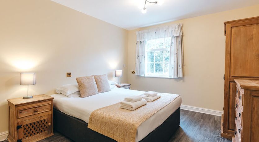 Photo of Netley Hall - Camelia