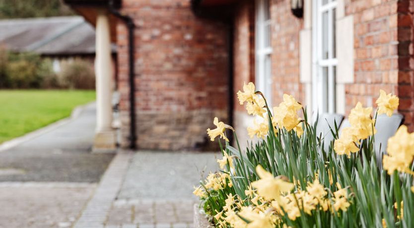 Photo of Netley Hall - Camelia