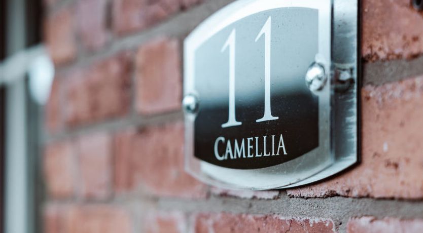 Photo of Netley Hall - Camelia