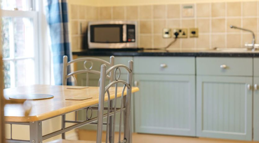 Photo of Netley Hall - Camelia