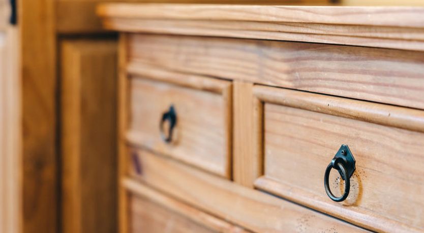 Photo of Netley Hall - Camelia