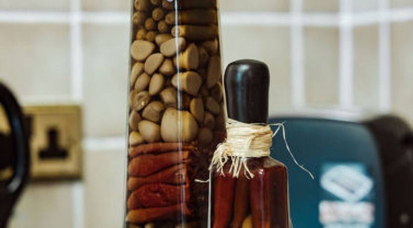 Photo of Netley Hall - Camelia