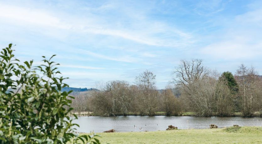 Photo of Netley Hall - Camelia