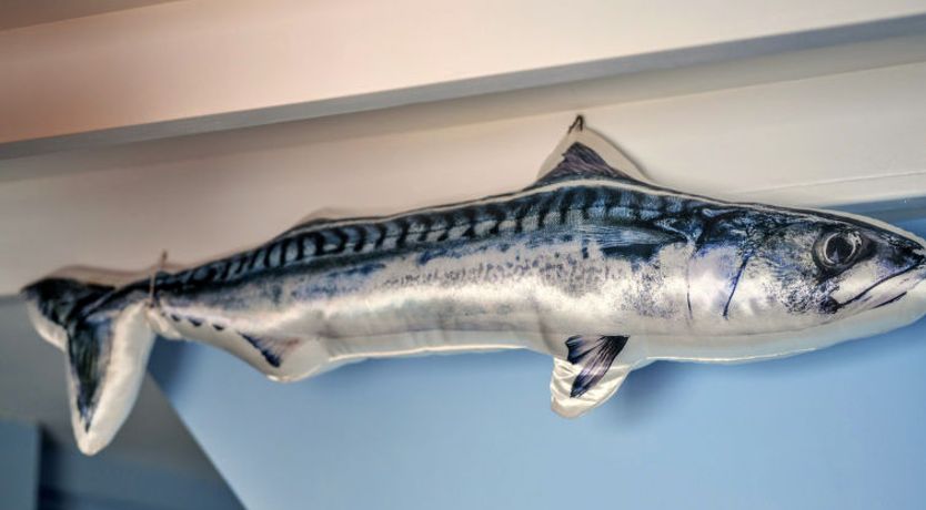 Photo of Rose Cottage, Kingsand