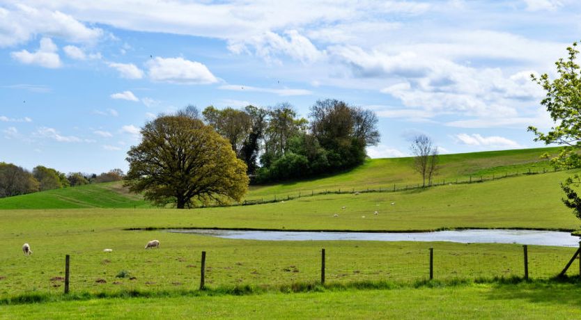 Photo of Hay and Hedgerow Glamping