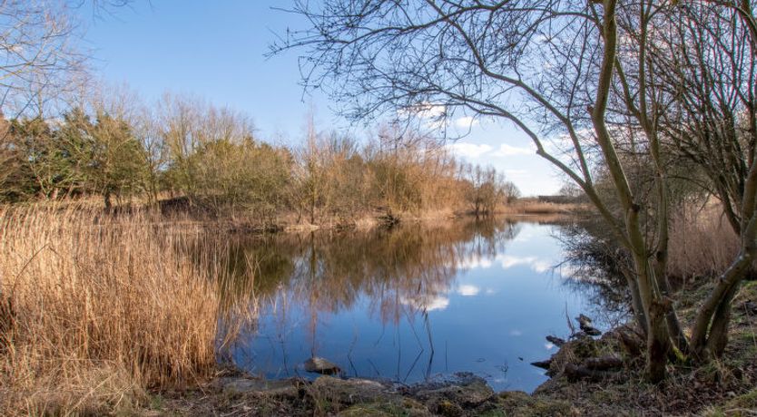 Photo of Hazel Rose Cottage