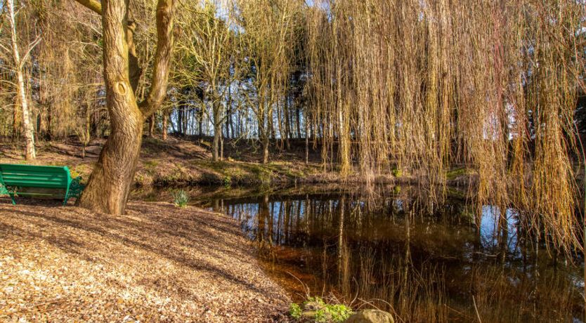 Photo of Hazel Rose Cottage
