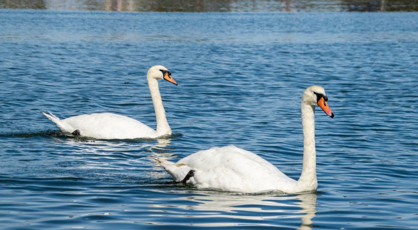 Photo of Kings Wharf