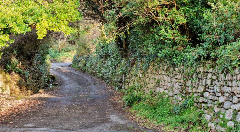 Photo of The Noel at Lesceave