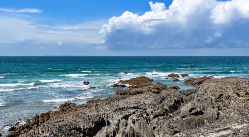 Photo of Ocean Lookout