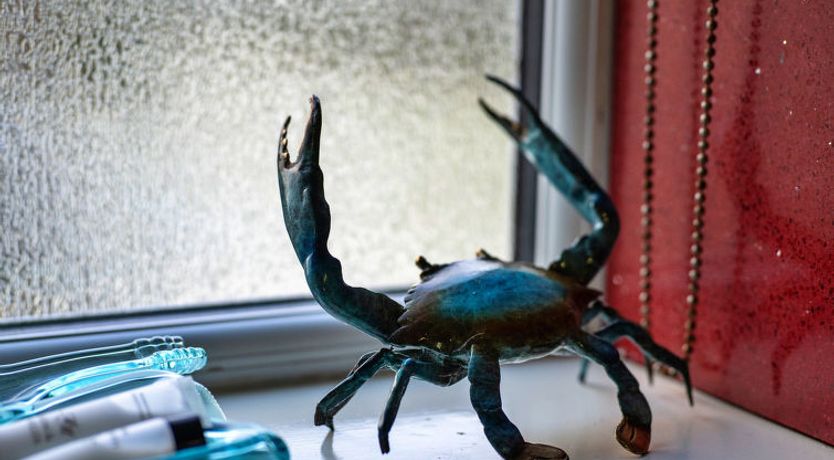 Photo of Treknow Summerhut